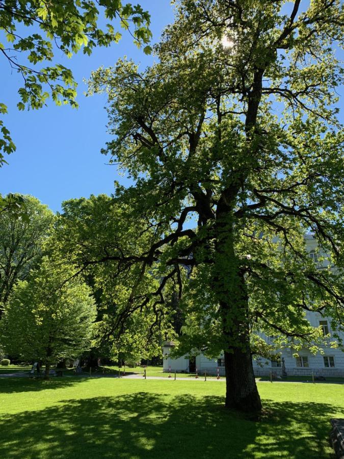 Schlosspark Grubhof - Mitterer Sankt Martin bei Lofer Eksteriør bilde